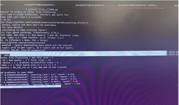 LLM Training Process