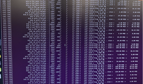 Model Quantization Process